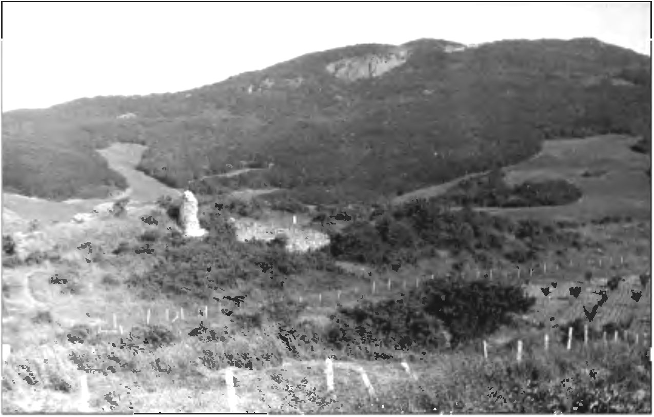 Рис. 37. Средневековое укрепление Фуна. Вид с востока (до начала раскопок в 1980 г.) Рис. 37. Средневековое укрепление Фуна. Вид с востока (до начала раскопок в 1980 г.)