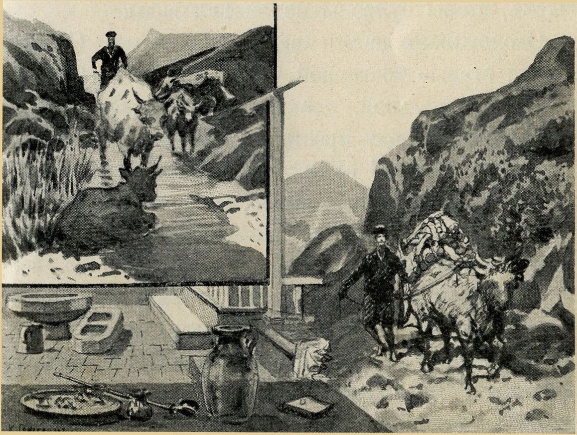 Буйволы. — Арба. — Двор татарского дома. — Утварь Буйволы. — Арба. — Двор татарского дома. — Утварь