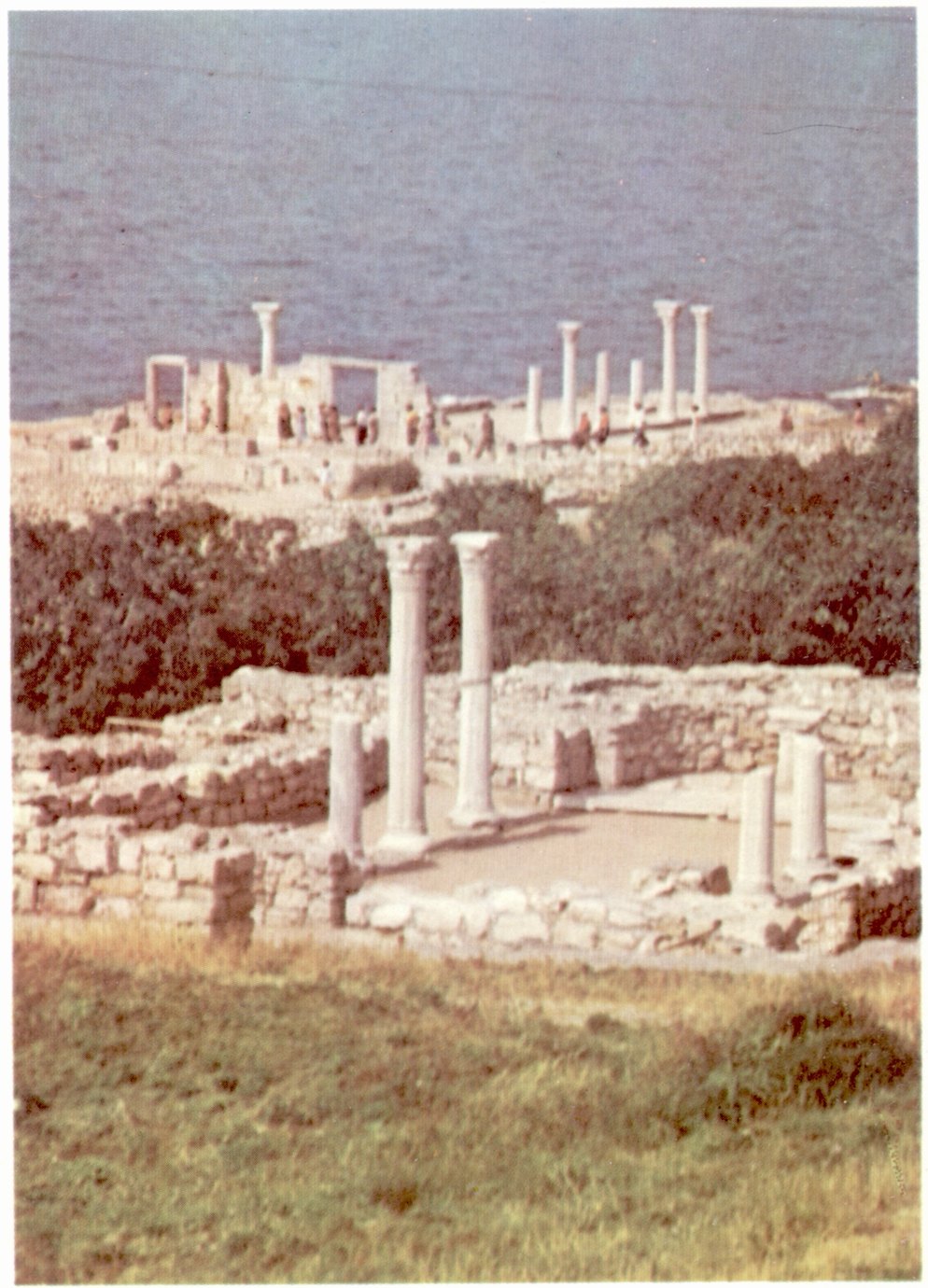 Э.И. Соломоник. «Каменная летопись Херсонеса: Греч. лапидар. надписи антич. времени» Э.И. Соломоник. «Каменная летопись Херсонеса: Греч. лапидар. надписи антич. времени»