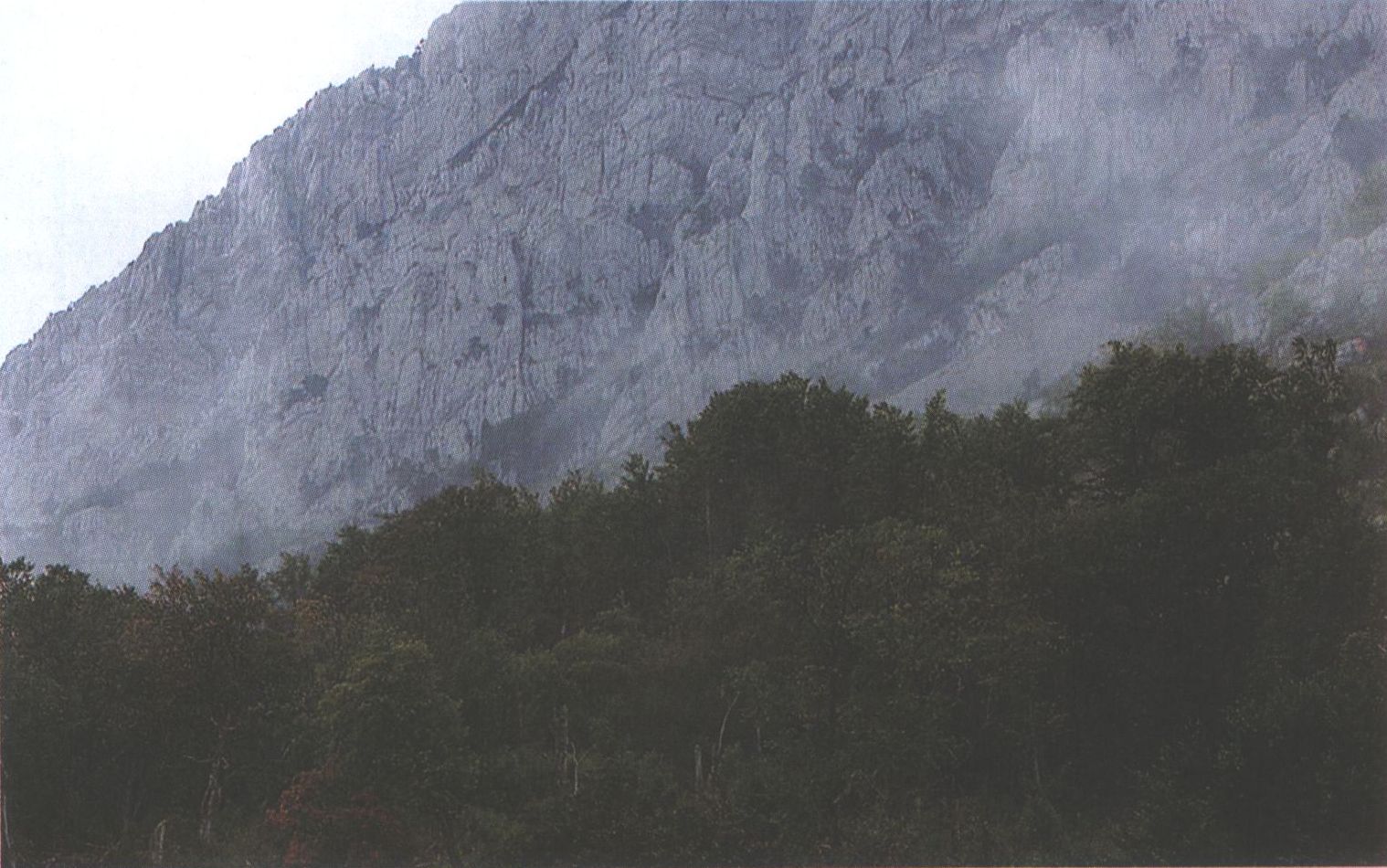 Чатыр-Даг в тумане. Узун-Алан. Фото О. Широкова. 2007 г. Чатыр-Даг в тумане. Узун-Алан. Фото О. Широкова. 2007 г.