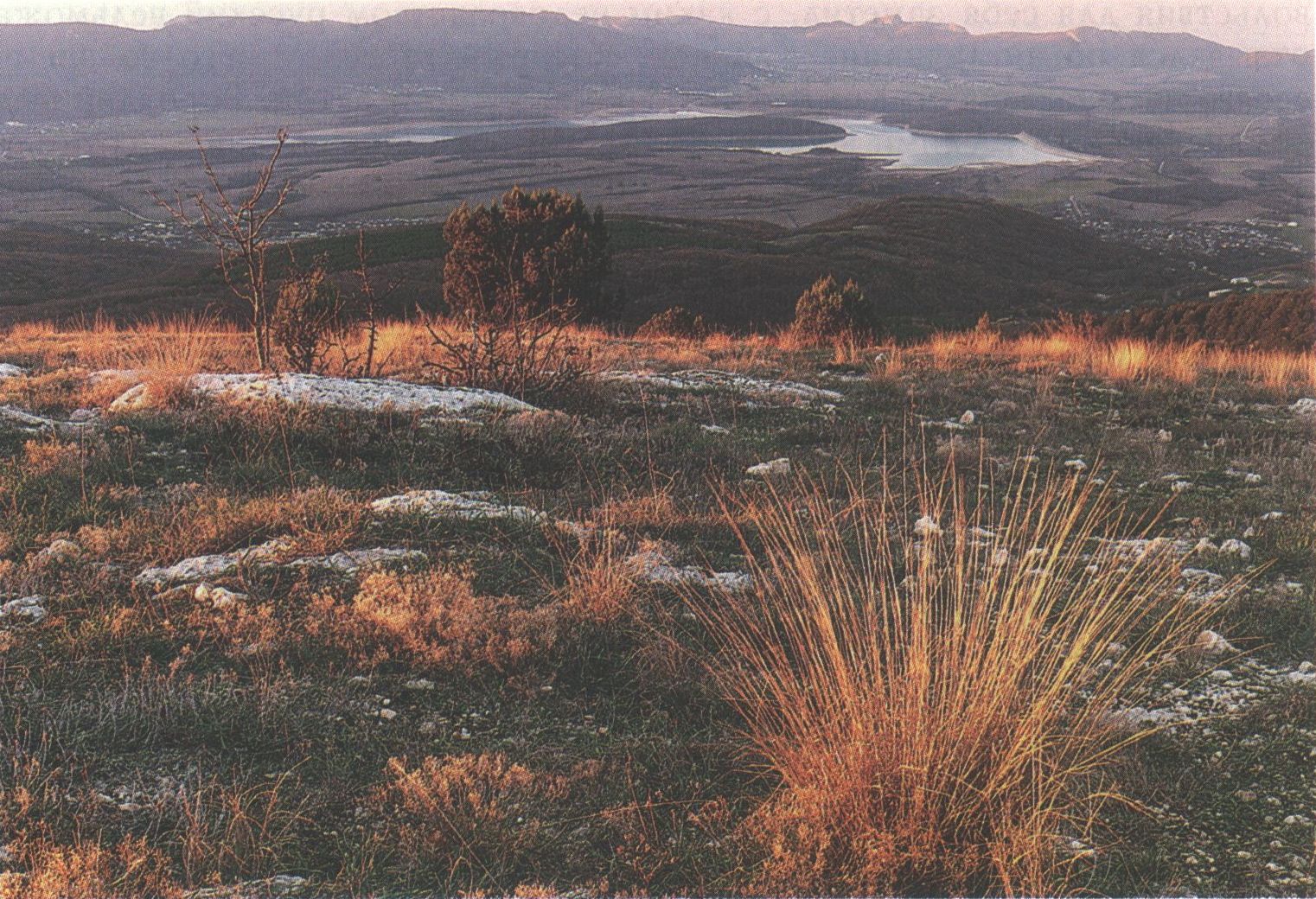 Вид на Байдарскую долину с Лысой горы. Фото В. Демиденко. 2014 г. Вид на Байдарскую долину с Лысой горы. Фото В. Демиденко. 2014 г.