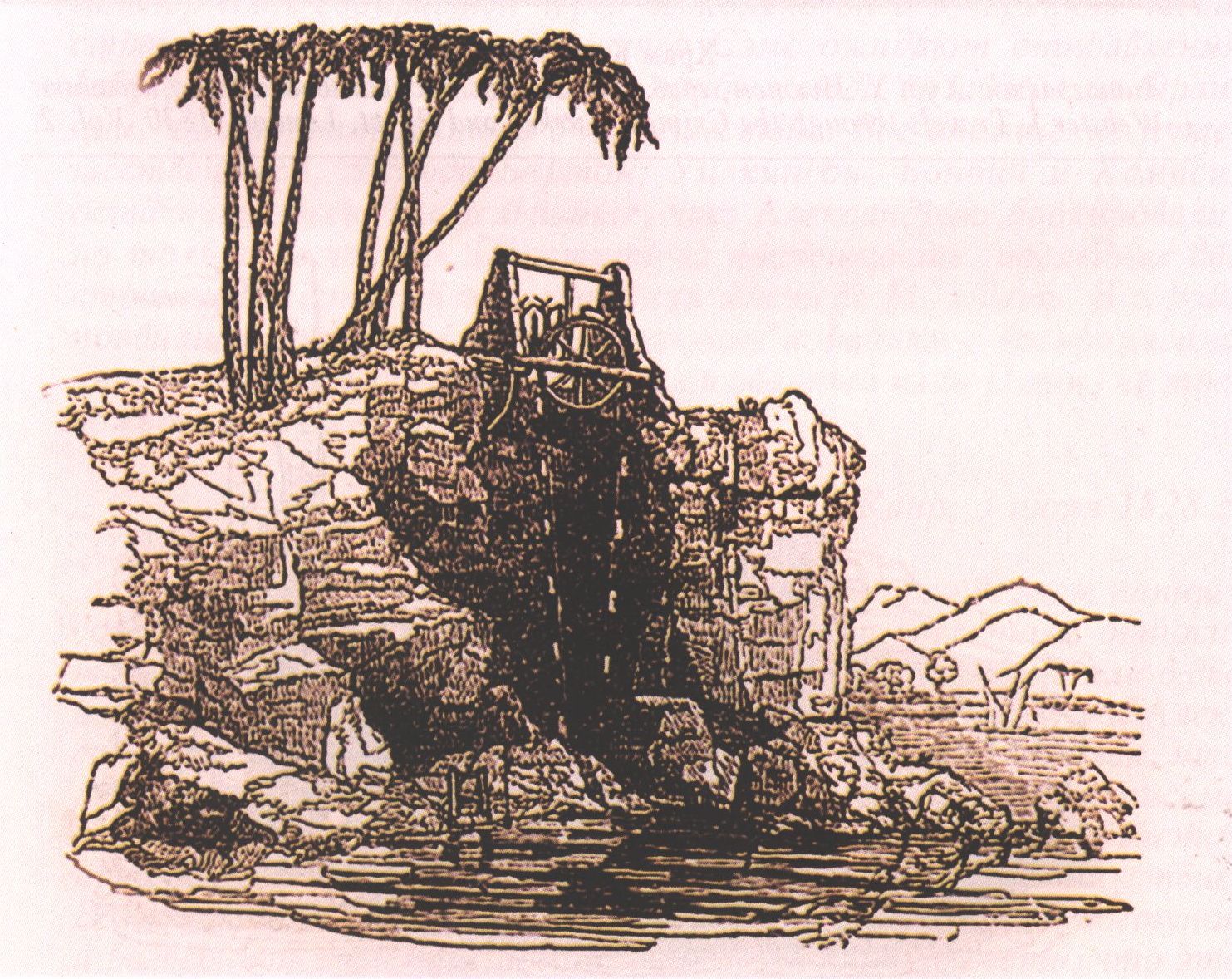 Машина для ирригации. Литография. Художник У. Ньюнем, грав. Дж. Кларк. Воспроизводится по изданию: Webster J. Travels through the Crimea, Turkey and Egypt. London, 1830. Vol. 2 Машина для ирригации. Литография. Художник У. Ньюнем, грав. Дж. Кларк. Воспроизводится по изданию: Webster J. Travels through the Crimea, Turkey and Egypt. London, 1830. Vol. 2