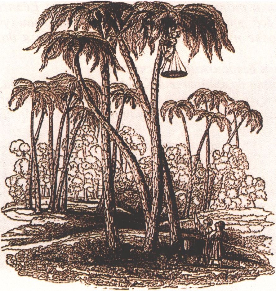 Сбор урожая. Литография. Художник У. Ньюнем, грав. Дж. Кларк. Воспроизводится по изданию: Webster J. Тravels through the Crimea, Turkey and Egypt. London, 1830. Vol. 2 Сбор урожая. Литография. Художник У. Ньюнем, грав. Дж. Кларк. Воспроизводится по изданию: Webster J. Тravels through the Crimea, Turkey and Egypt. London, 1830. Vol. 2