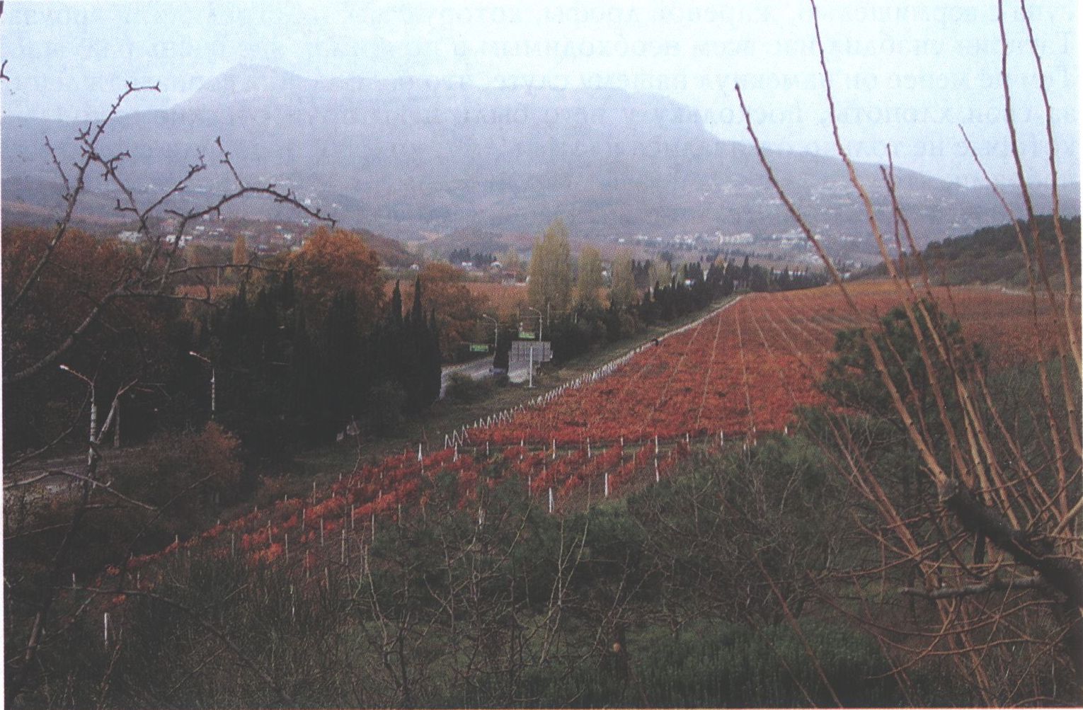 Алушта. Вид на Чатыр-Даг. Фото О. Широкова. 2010 г. Алушта. Вид на Чатыр-Даг. Фото О. Широкова. 2010 г.