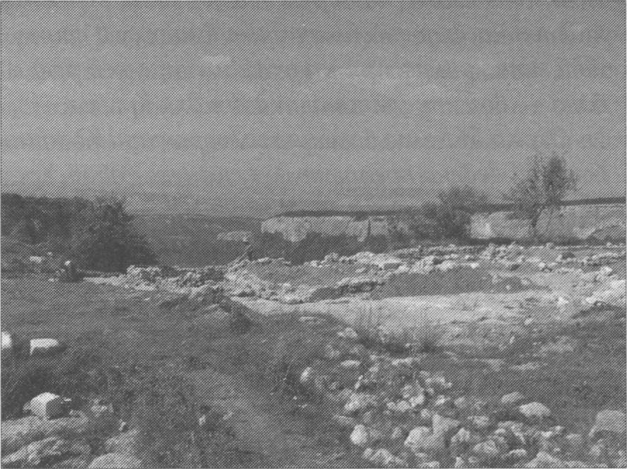 Раскопки княжества Феодоро Раскопки княжества Феодоро