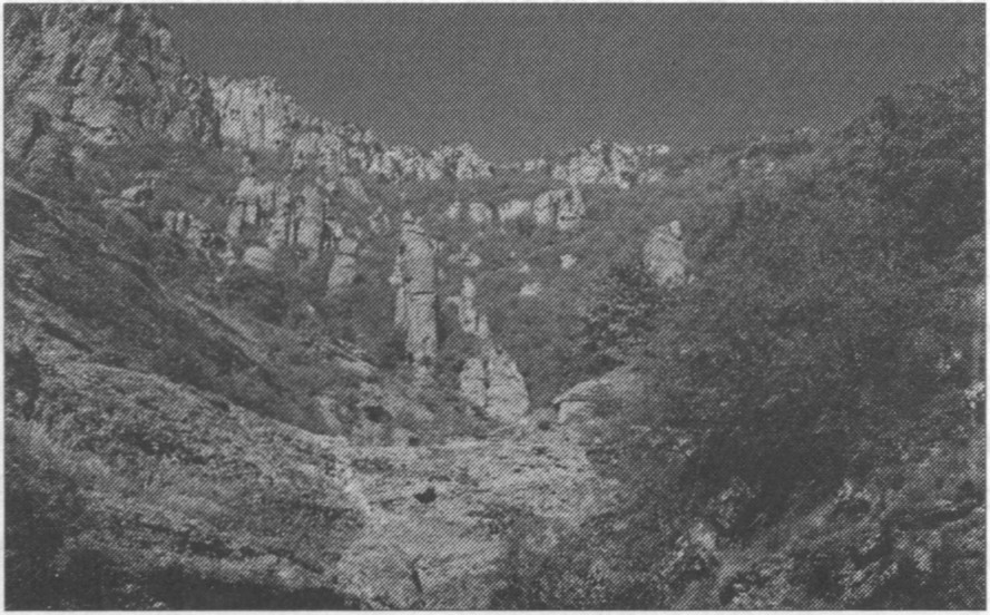 Алушта. Лучистое. Долина Привидений Алушта. Лучистое. Долина Привидений