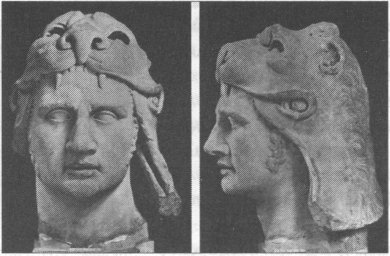 Царь Митридат VI Евпатор Царь Митридат VI Евпатор