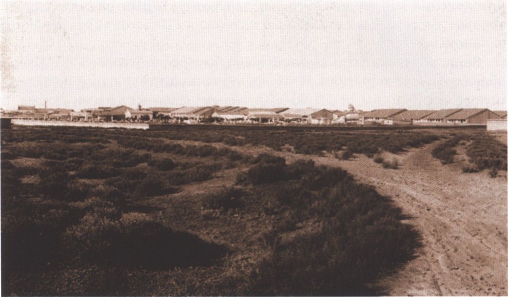 Восточная оконечность Евпатории Восточная оконечность Евпатории