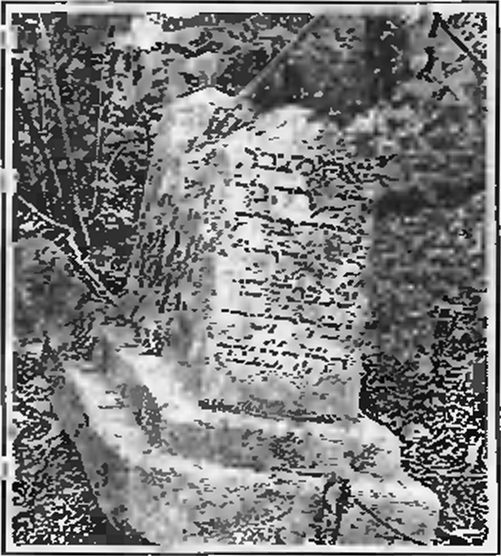 Караимское надгробие на кладбище в Иосафатовой долине близ Чуфут-Кале Караимское надгробие на кладбище в Иосафатовой долине близ Чуфут-Кале