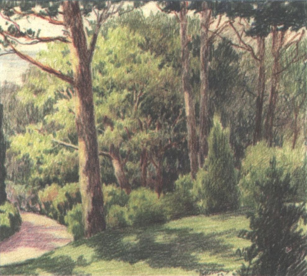 Алупка. В парке. 7 мая 1953 г. Алупка. В парке. 7 мая 1953 г.