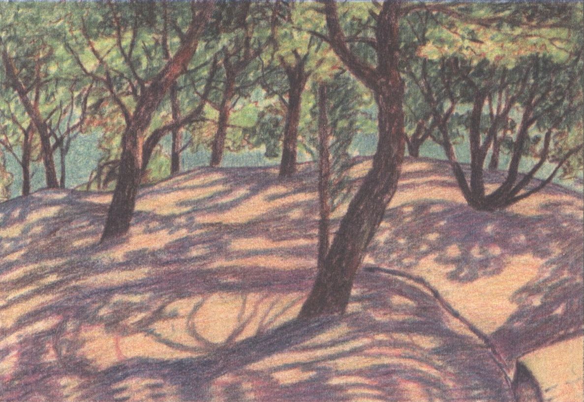 Алупка. Парк. 3 октября 1932 г. Алупка. Парк. 3 октября 1932 г.