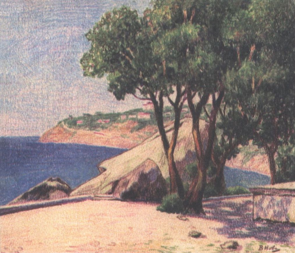 Алупка. Парк. 1935 г. Алупка. Парк. 1935 г.