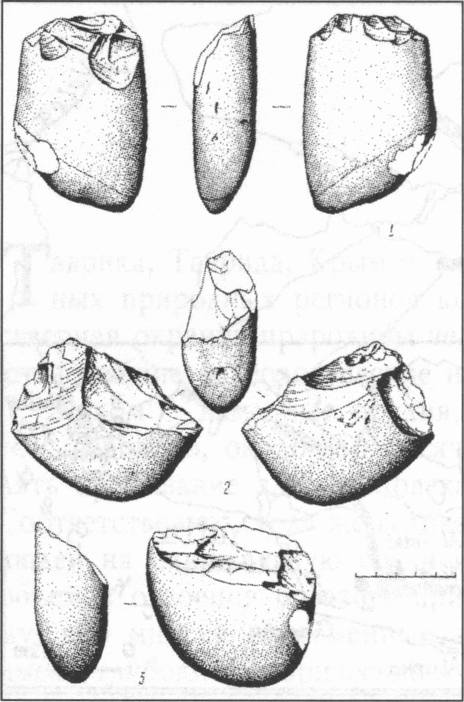 Древнейшие каменные орудия труда палеолитического человека (чопперы), найденные С. Жуком в Крымском субсредиземноморье Древнейшие каменные орудия труда палеолитического человека (чопперы), найденные С. Жуком в Крымском субсредиземноморье