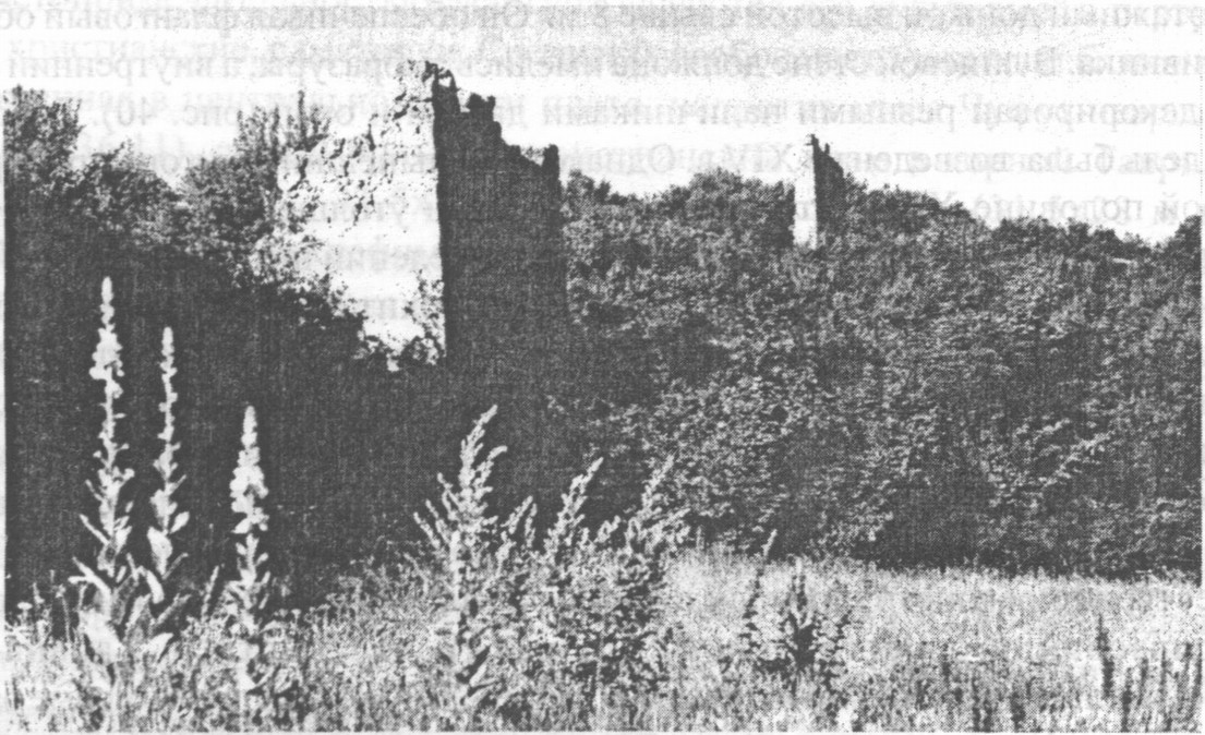 Рис. 37. Мангуп. Фрагмент Второй линии обороны Рис. 37. Мангуп. Фрагмент Второй линии обороны