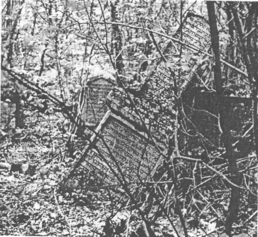 Рис. 73. Иософатова долина. Надгробия Рис. 73. Иософатова долина. Надгробия