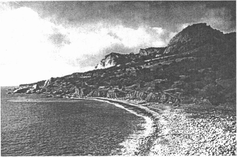 Уникальная фотография. Так выглядел «горьковский пляж» до строительства здесь «Зари» Уникальная фотография. Так выглядел «горьковский пляж» до строительства здесь «Зари»