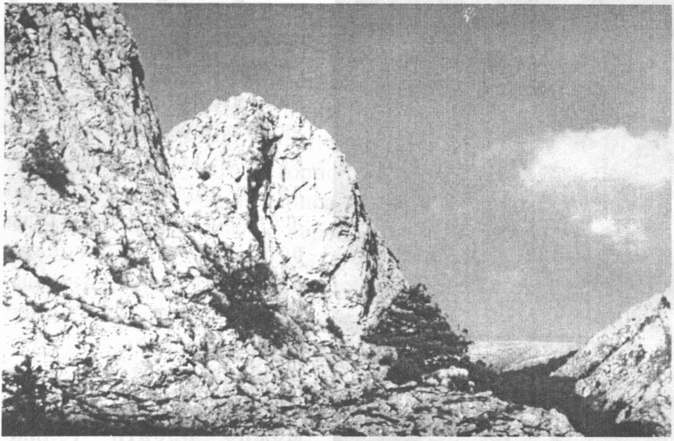 Вид, открывающийся с «Чертовой лестницы» Вид, открывающийся с «Чертовой лестницы»