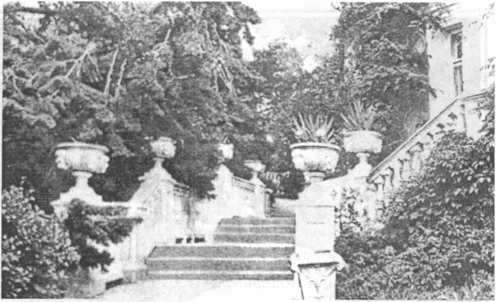 Лестница к морю от дома управляющего Лестница к морю от дома управляющего