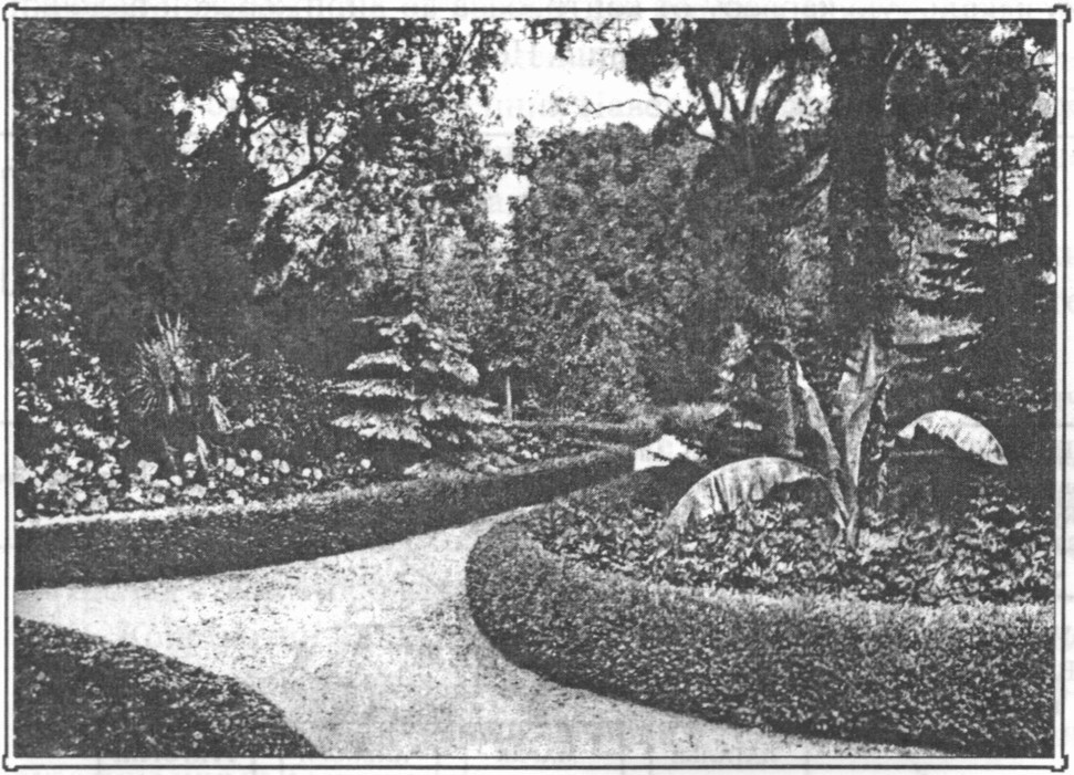 Парк. 1917 г Парк. 1917 г