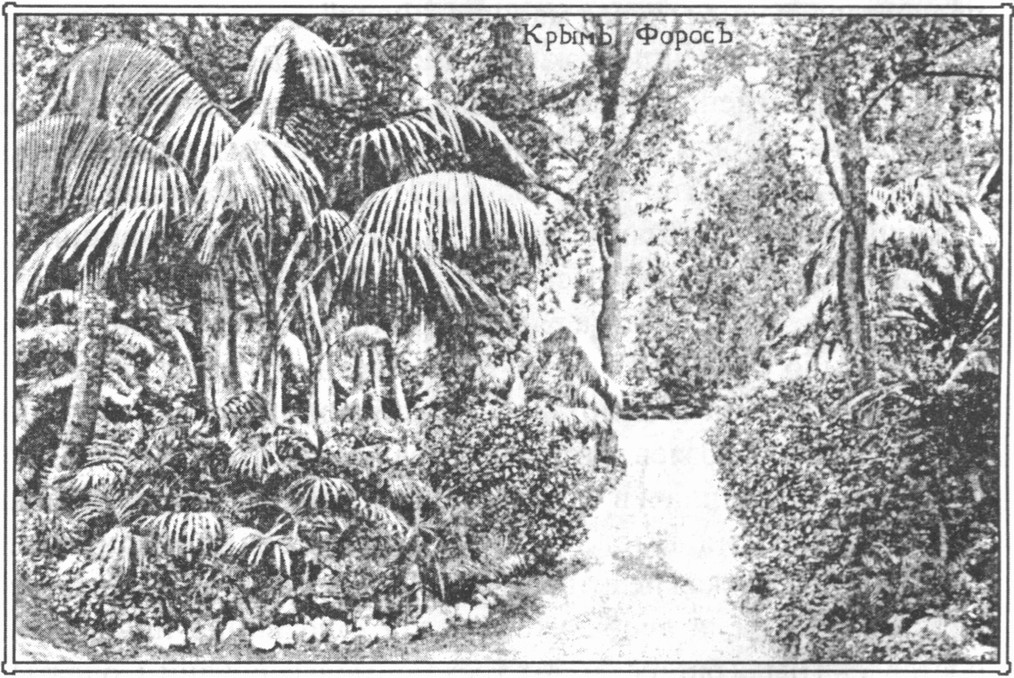 Уголок парка. 1917 г Уголок парка. 1917 г