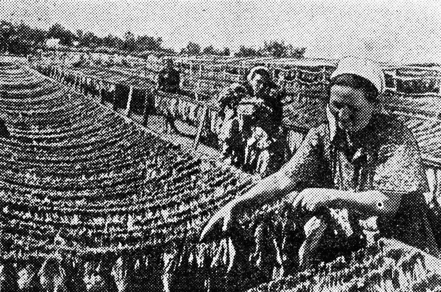 Сушка табака в колхозе им. Ленина, Старо-Крымского района Сушка табака в колхозе им. Ленина, Старо-Крымского района