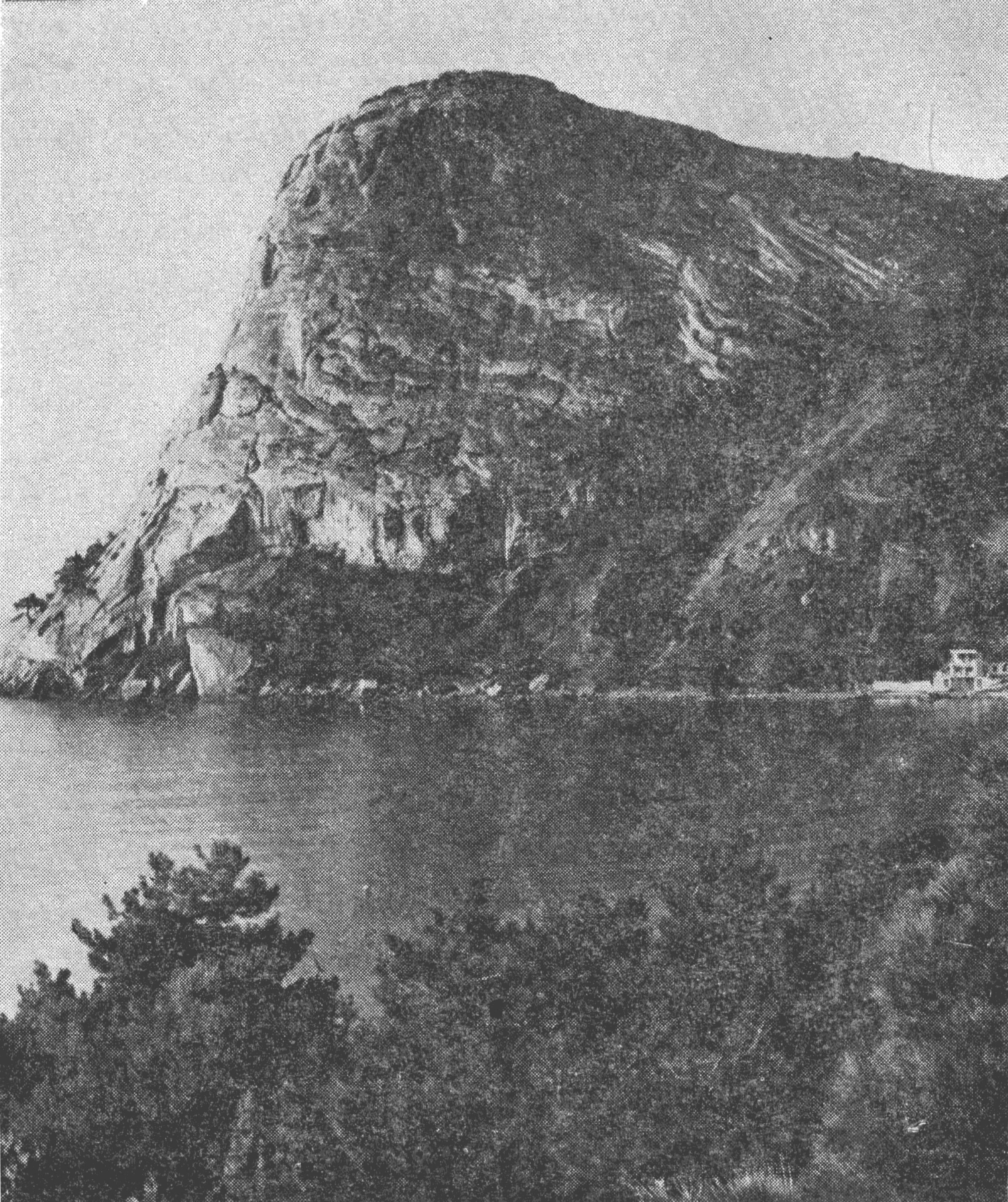 Новосветская бухта Новосветская бухта