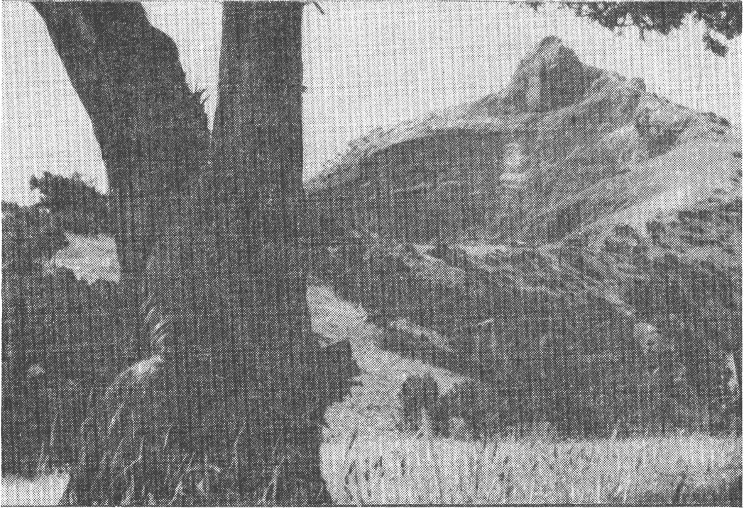 Гора Капчик Гора Капчик