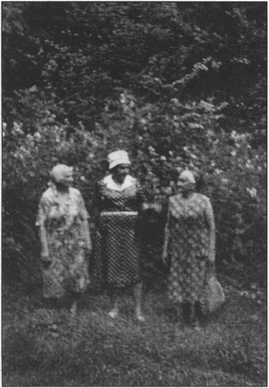 Багреевка, 1989 г. М.А. Берлин, В.В. Читова и М.В. Сидерская на месте расстрела родственников. Любительское фото Т.В. Душиной (Ялта). Публикуется впервые Багреевка, 1989 г. М.А. Берлин, В.В. Читова и М.В. Сидерская на месте расстрела родственников. Любительское фото Т.В. Душиной (Ялта). Публикуется впервые