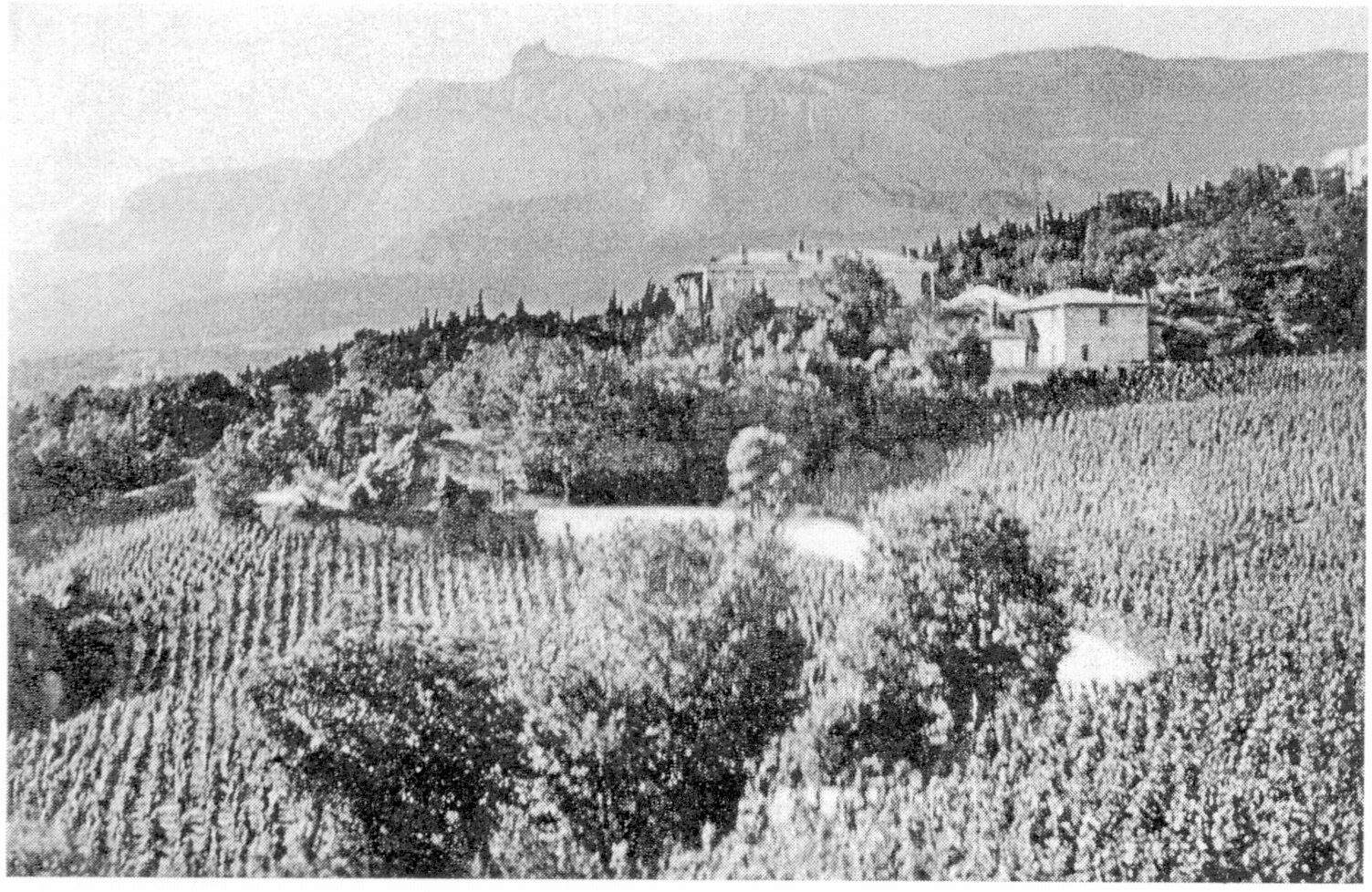 Имение в. кн. Александра Михайловича «Ай-Тодор». Начало XX века Имение в. кн. Александра Михайловича «Ай-Тодор». Начало XX века