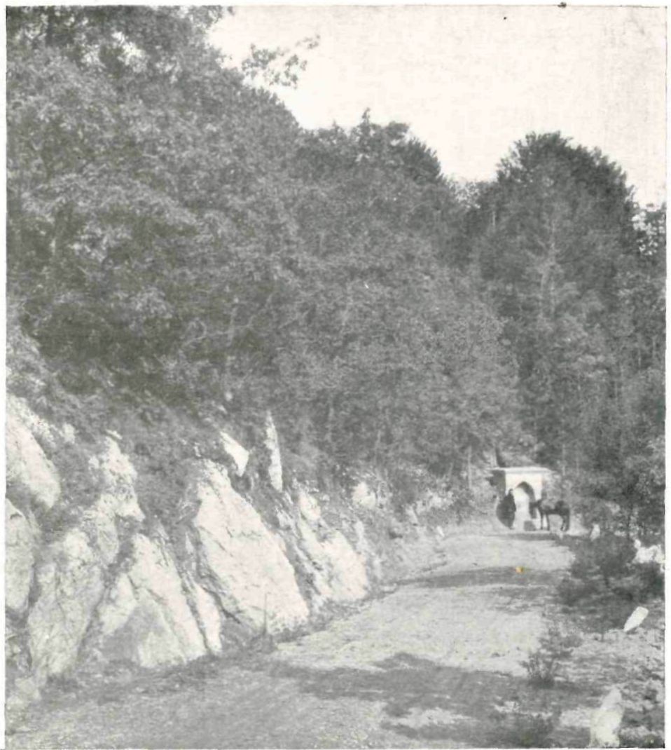 Романовская лесная дорога. Фонтан «Верхний Магдус» на 5-й версте Романовская лесная дорога. Фонтан «Верхний Магдус» на 5-й версте