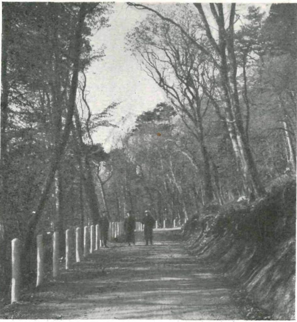 Романовская лесная дорога. Вид на «Красный Камень» и поворот дороги на 12-й версте Романовская лесная дорога. Вид на «Красный Камень» и поворот дороги на 12-й версте