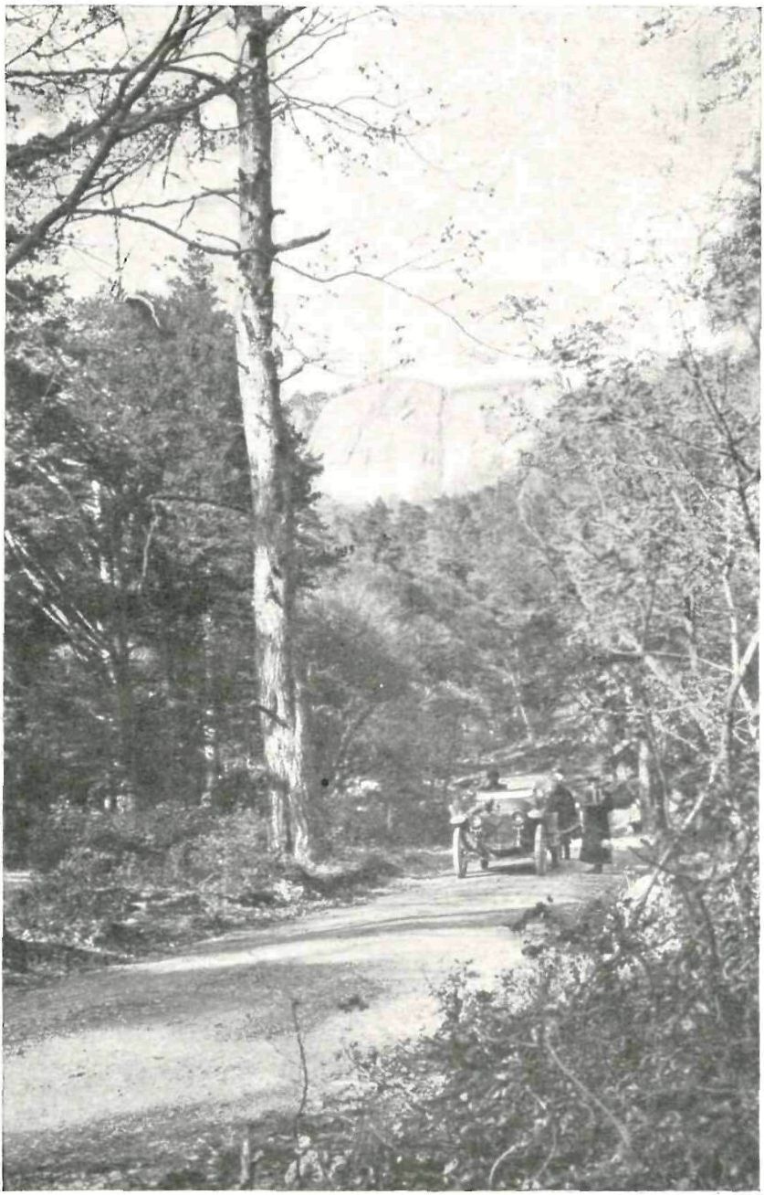 Романовская лесная дорога. Вид на «Красный Камень» от «Царской Столовой» Романовская лесная дорога. Вид на «Красный Камень» от «Царской Столовой»