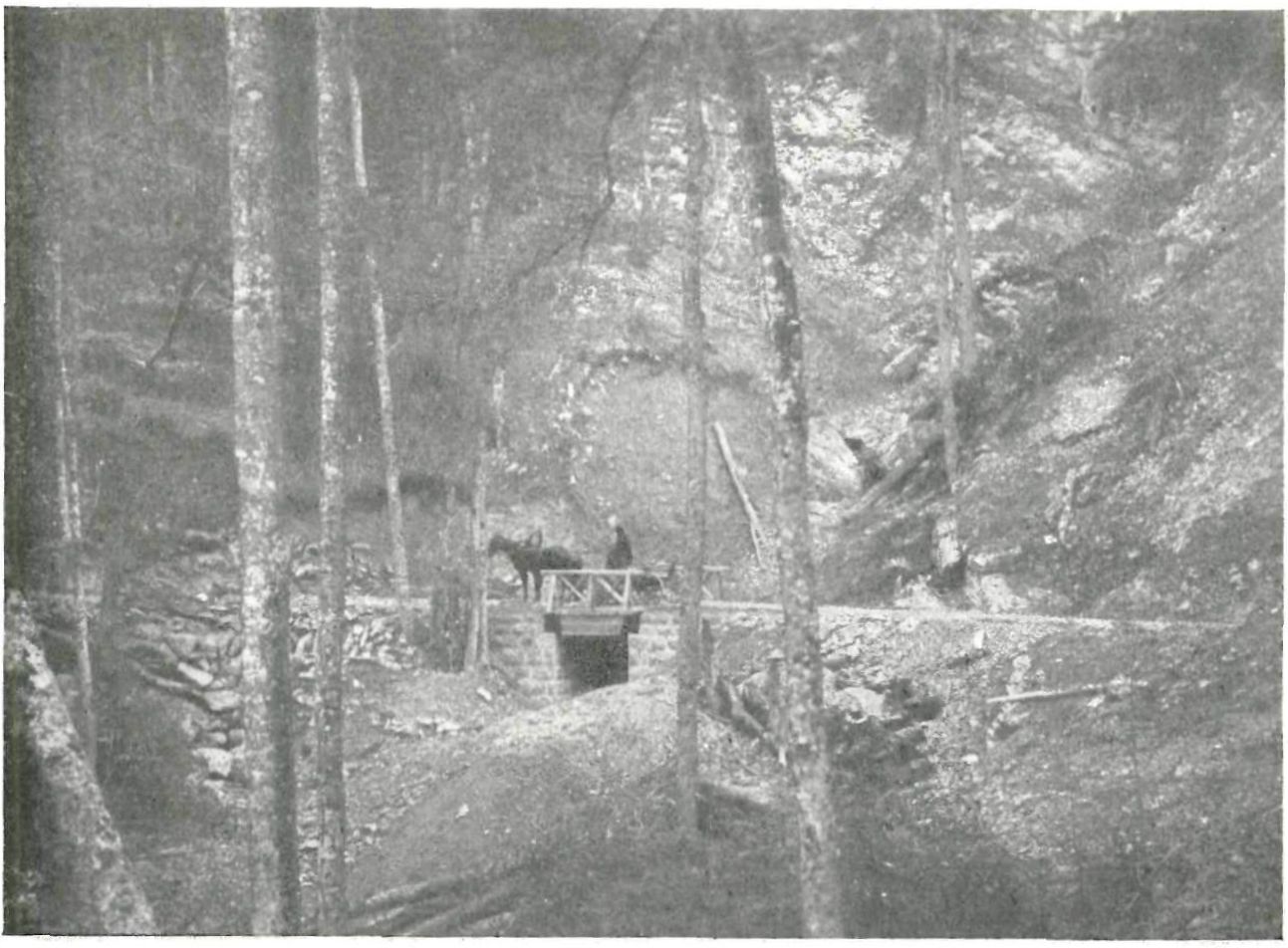 Романовская лесная дорога. Исток реки Качи, Биюк-Узень на 27-й версте Романовская лесная дорога. Исток реки Качи, Биюк-Узень на 27-й версте