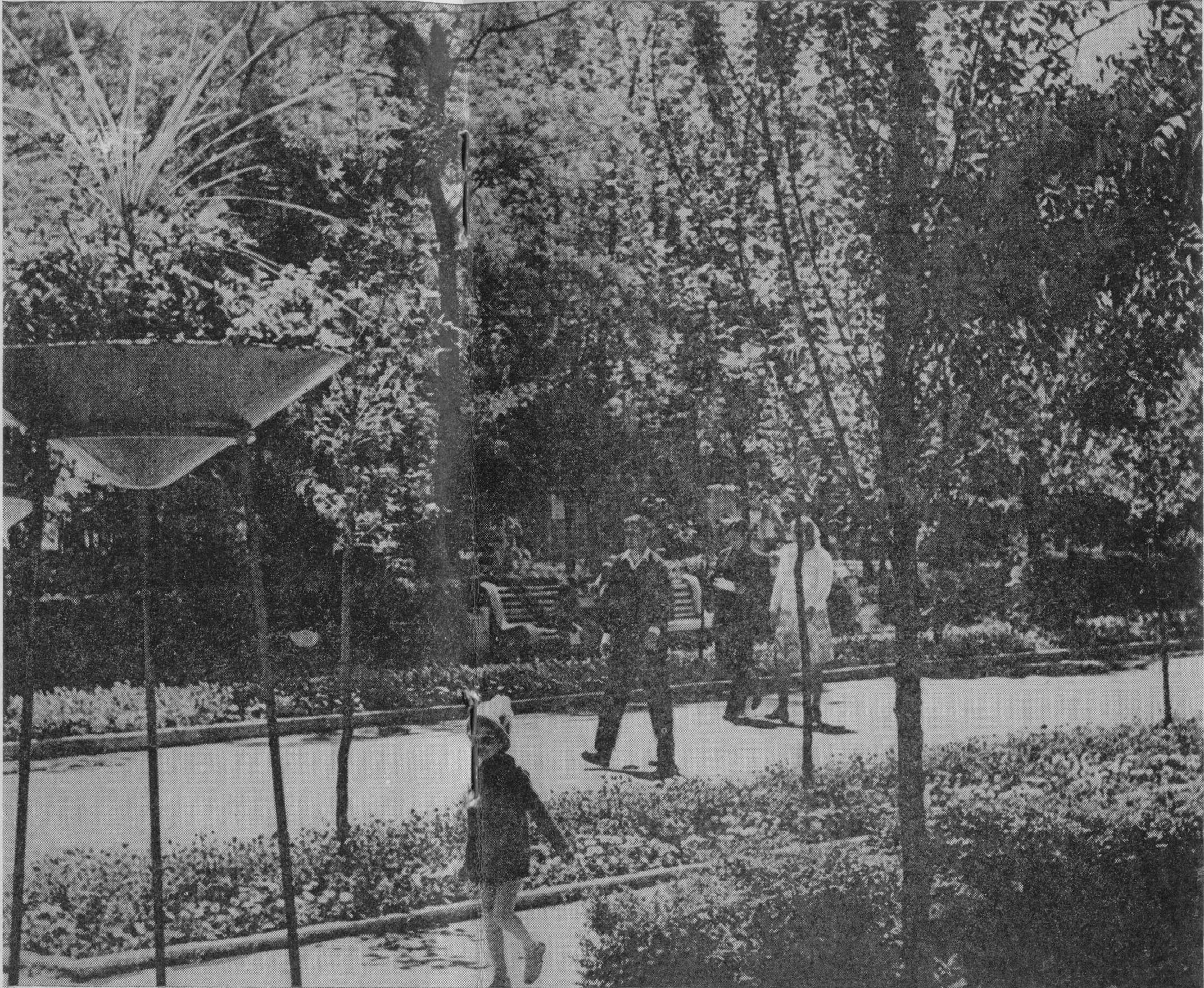 Главная аллея Сакского парка Главная аллея Сакского парка