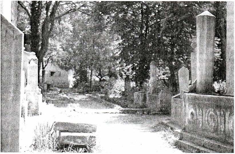 Ханское кладбище. Фото автора