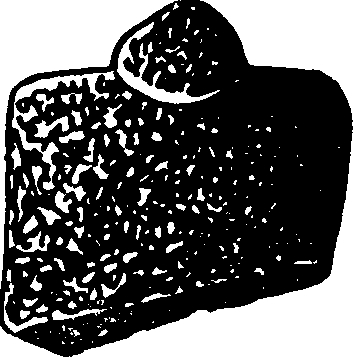 Антропоморфные стелы: 1 — казанковская (Крым); 2, 3 — из Херсонской обл.; 4 — тиритакская (Крым); 5 — добруджинская (Румыния); 6 — чокурчинская (Крым); 7 — из Коллоржа (Франция); 8 — из окрестностей Одессы Антропоморфные стелы: 1 — казанковская (Крым); 2, 3 — из Херсонской обл.; 4 — тиритакская (Крым); 5 — добруджинская (Румыния); 6 — чокурчинская (Крым); 7 — из Коллоржа (Франция); 8 — из окрестностей Одессы