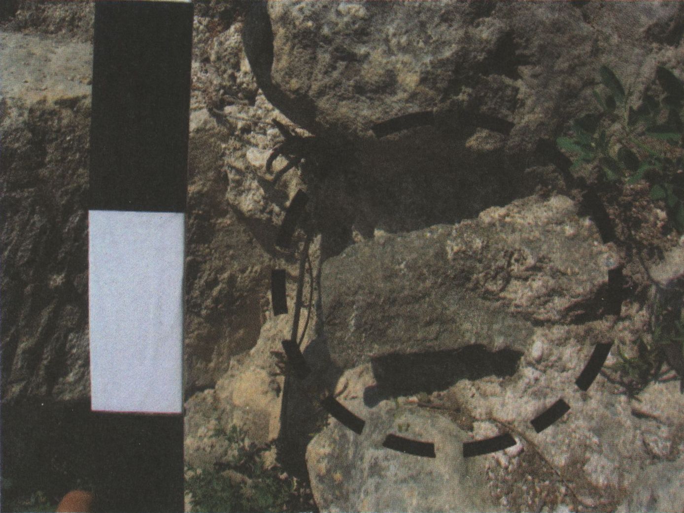 Фрагмент пушенного ядра в качестве забутовки в кладке укрепления A.XVII