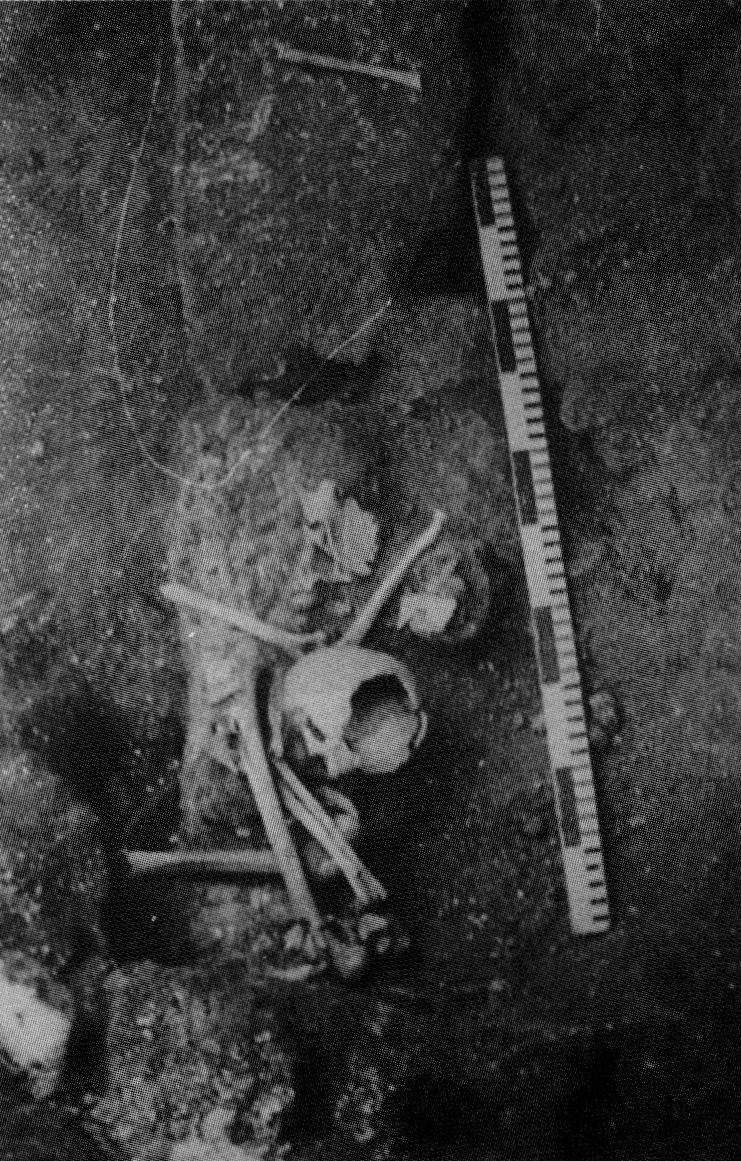 Мангуп. Укрепление A.XIV. Башня А.4. Человеческие останки в пороговой части. Вид с севера. Фото А.Г. Герцена