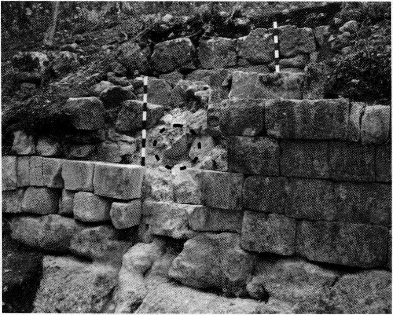 Участок укрепления A.XIV с засевшим каменным ядром после проведения исследований