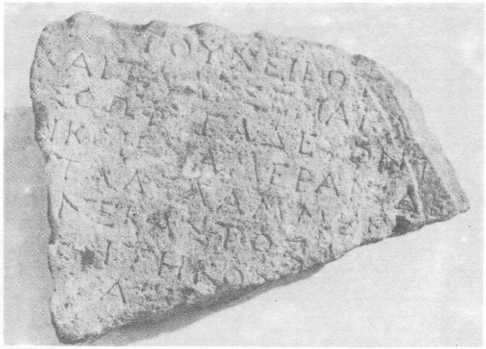 Каменная летопись земли биология 9 класс. Семинар на тему каменная летопись земли. Каменная летопись земли биология 9. Каменная летопись земли. Каменная летопись земли кратко.